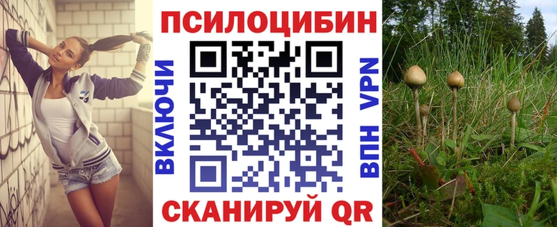 где продают наркотики  Семикаракорск  Галлюциногенные грибы мухоморы 